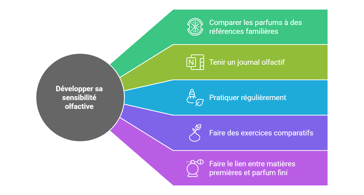 les étapes pour développer sa sensibilité olfactive